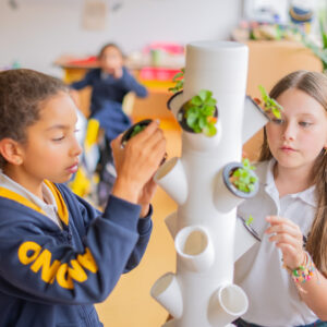 torre hidropónica con 30 plantas que los estudiantes cuidarán durante todo el año escolar. Unión entre ciencia y naturaleza