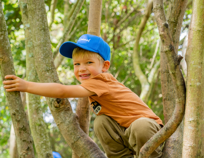 colegio trilingüe como es la vida de un niño del Colegio Andino ambientes secciones aprendizaje calendario B naturaleza aprender jugando